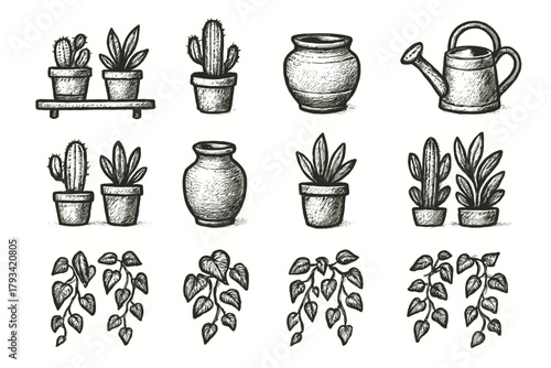 Ivy vector plant can watering shelf collection trailing pot display icon cactus