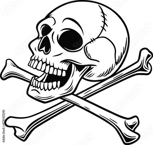 Black And White Skull And Crossbones Illustration