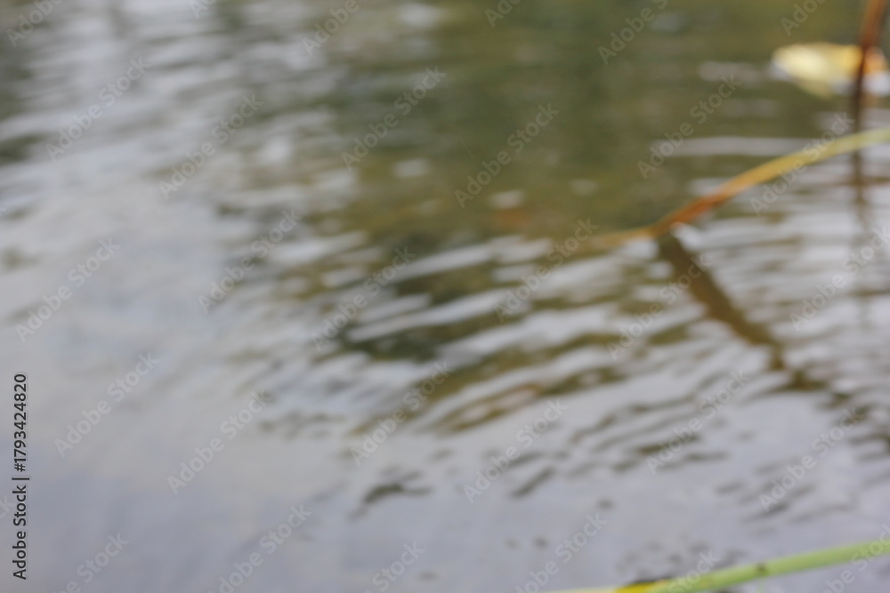 Fototapeta premium A dreamy blurry view of rain on the river