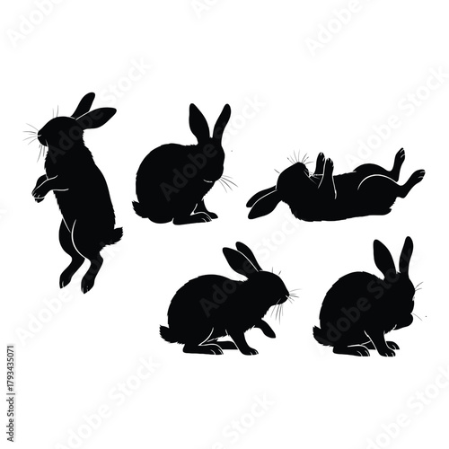 Silhouettes of rabbits in various poses against a white background