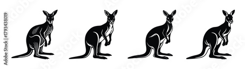 Vector kangaroo illustration: australian wildlife, marsupial, animal, silhouette, jumping, art