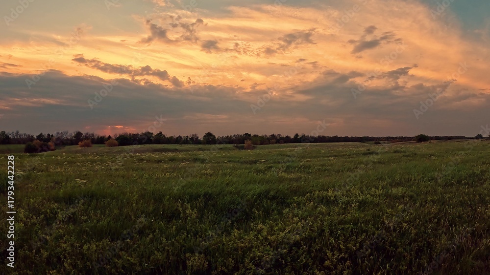 Fototapeta premium Sunset sky over green meadow, camera panning. Beautiful natural landscape. Outdoor travel, tourism, adventure photography. Sunrise over serene natural landscape with clouds in sky green grassy field