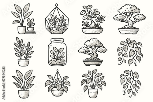 Terrarium plant interior creative icons decor icon vine vector glass bonsai greenery