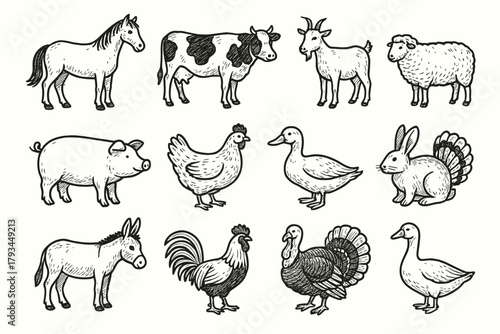 Pig animal goat cow chicken icon vector duck rabbit sheep turkey farm