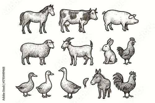 Animal rabbit chicken goat turkey rustic farm collection icons icon goose sheep