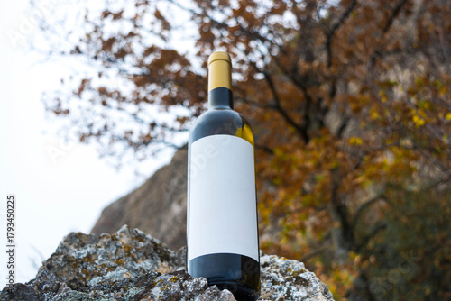 A bottle of wine in the mountains