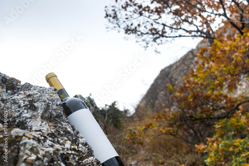 A bottle of wine in the mountains
