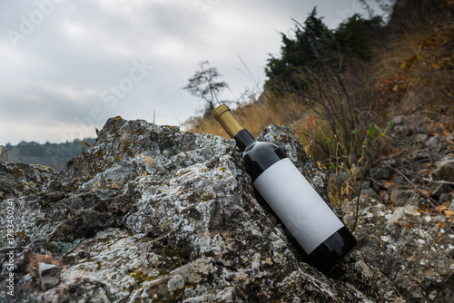 A bottle of wine in the mountains