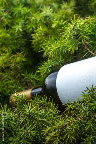 A bottle of wine in the mountains