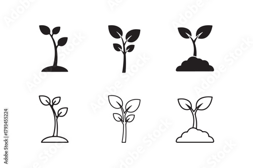 Sapling Vector Set Outline and Silhouette Design