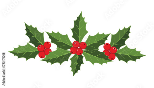 Holly berry and leaf arrangement for festive decoration
