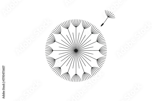 A dandelion seed head with one seed drifting away on the wind.