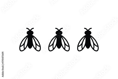 Three stylized flies are depicted against a white background