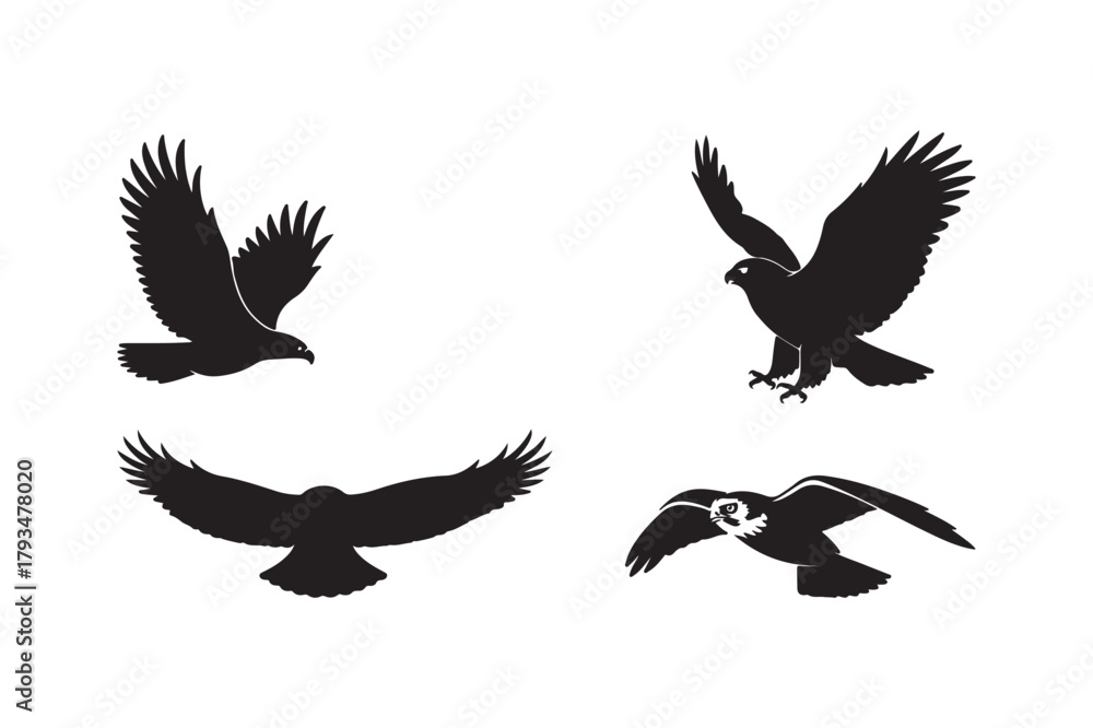 Fototapeta premium Silhouettes of birds of prey in flight