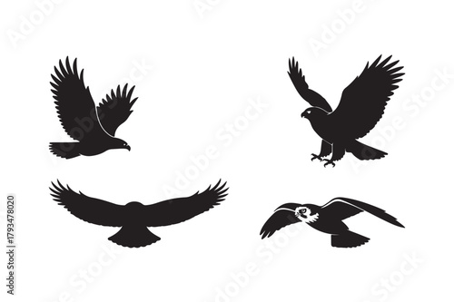 Silhouettes of birds of prey in flight
