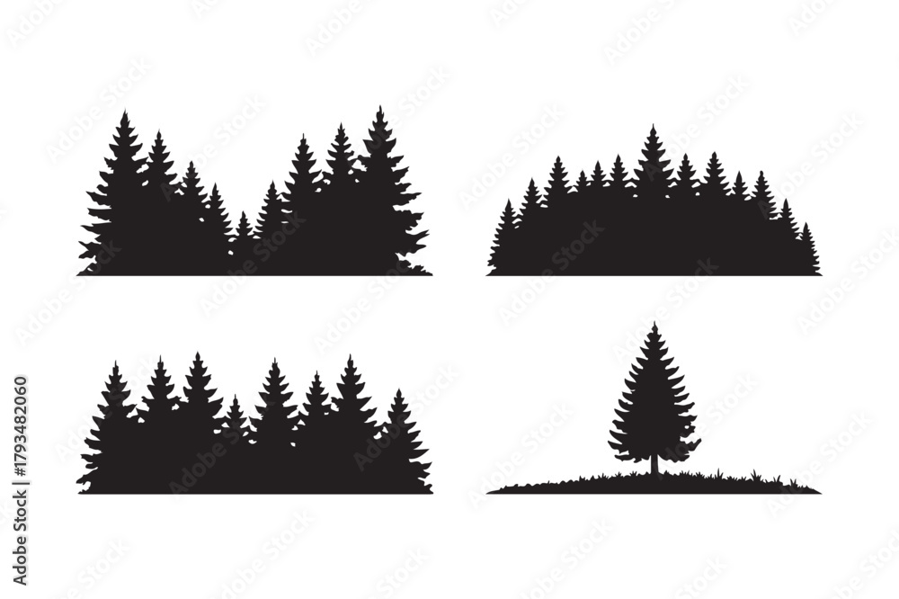 Obraz premium Silhouette forest scenes with evergreen trees and pine trees