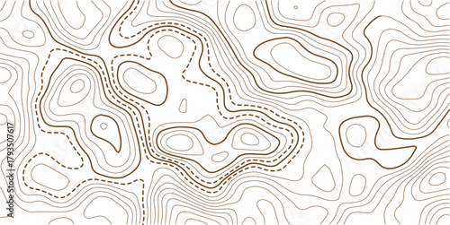 Abstract topo contour map on white background, Topographic map Topographic contour lines map seamless pattern.Vintage outdoors style wallpaper. 