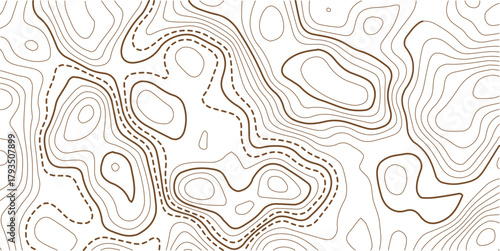 Topographic map contour background. Topo with elevation. The concept of a conditional geography scheme and contour line map image.Geographic mountain relief diagram line wave carve pattern.