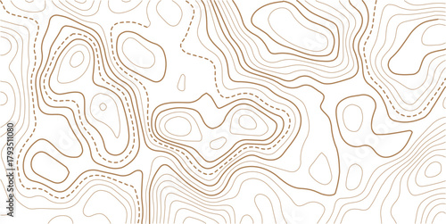 Abstract Topographic Pattern contour line map. Luxury gold abstract line art on transparent background image. .The concept of a conditional geography scheme and the terrain path. Design materials. 