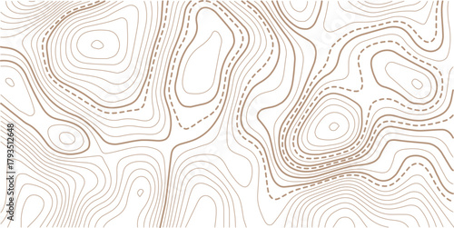 Abstract Topographic Pattern contour line map. Luxury gold abstract line art on transparent background image.. topographic contour background. Topography background. Vector banner. Topo,
