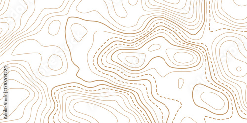 Abstract topo contour map on white background, Topographic map Topographic contour lines map seamless pattern.Vintage outdoors style wallpaper. 