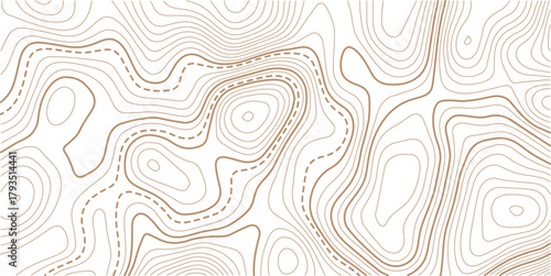 Abstract topo contour map on white background, Topographic map Topographic contour lines map seamless pattern.