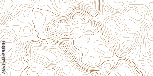 Topographic gold luxury map background. Geographic abstract pattern. The topo contour or wallpaper. The concept of a conditional geography scheme and contour line map image.
