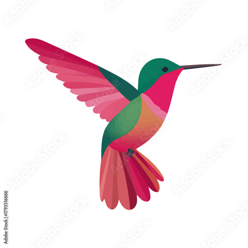 Hummingbird — flat 2D vector artwork created in a clean, modern, and minimal style on white background.