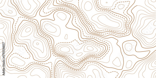 Abstract topo contour map on white background, Topographic map Topographic contour lines map seamless pattern.Topography background. Vector banner. Topo,
