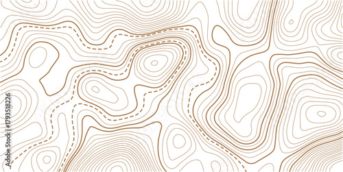 Abstract Topographic Pattern contour line map. Luxury gold abstract line art on transparent background image. Topography background. Vector banner. Topographic map ,abstract height lines .
