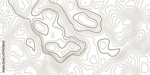 Abstract Topographic Pattern contour line map. Luxury gold abstract line art on transparent background image. .The concept of a conditional geography scheme and the terrain path. Design materials. 
