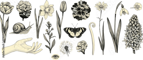 Vector collection of decorative bows and ribbons. Red and pink elegant styles for gifts, fashion, and design projects