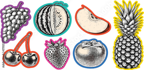 Collection of Hand-Drawn Fruit Illustrations Grapes, Watermelon, Apple, Cherries, Strawberry, Persimmon, Pineapple
