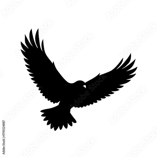 A silhouette of a flying hawk bird in the sky