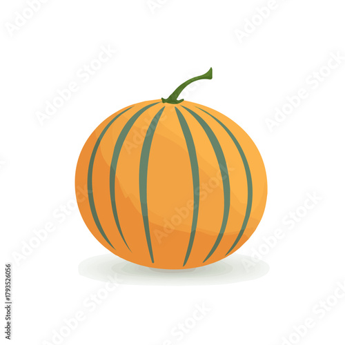 A simple and modern flat 2D vector of a Cantaloupe, isolated on a pure white background.