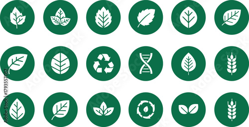 Vector Illustration of Eco-friendly Icons: Nature, Organic, Sustainable, Recycling, Agriculture, Bio.