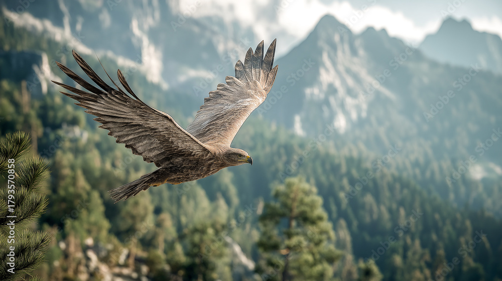 Obraz premium eagle flying above forest with mountains