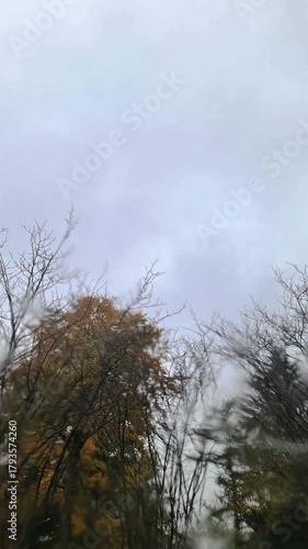 Raindrops falling down a window on an autumn day