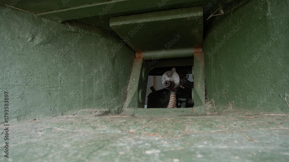 Fototapeta premium pigeon looks through green opening, calm pigeon surveys surroundings through chipped concrete wall