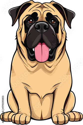  Cute cartoon a illustrator vector English mastiff