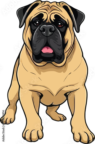  Cute cartoon a illustrator vector English mastiff