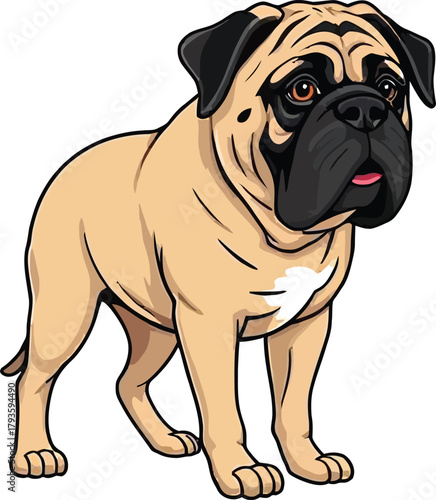  Cute cartoon a illustrator vector English mastiff
