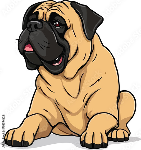  Cute cartoon a illustrator vector English mastiff
