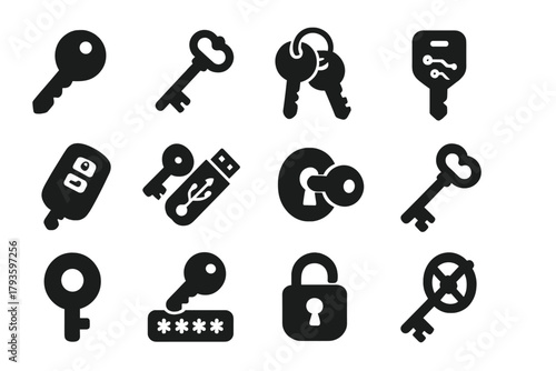 Variety of Keys. Solid style icons of keys and key systems: traditional key, skeleton key, keyring, digital key, smart key, USB