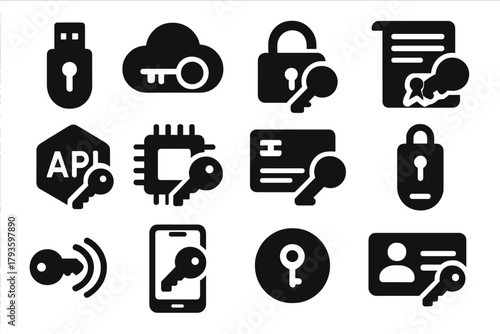 Digital Security Icons. Solid style icons of Digital keys: USB key, cloud key, encryption key, software license key, API key,