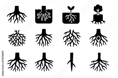 Tree Root Network. Solid style icons of Tree Roots: exposed roots, deep soil, nutrient absorption, strong foundation, root network