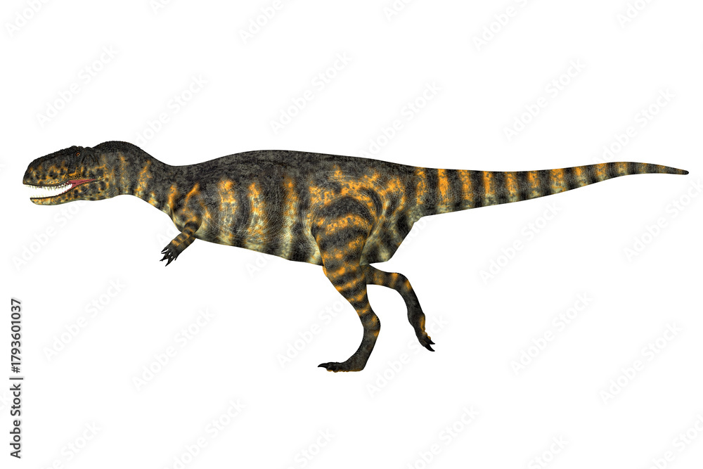 Naklejka premium Abelisaurus Dinosaur Profile - Abelisaurus was a theropod carnivorous dinosaur that lived during the Cretaceous Period of Argentina.
