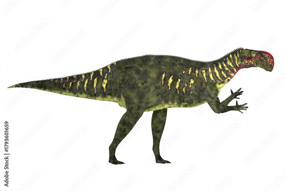 Naklejka premium Altirhinus Dinosaur Walking - Altirhinus was an iguanodont herbivore dinosaur from the Cretaceous Period of Mongolia.