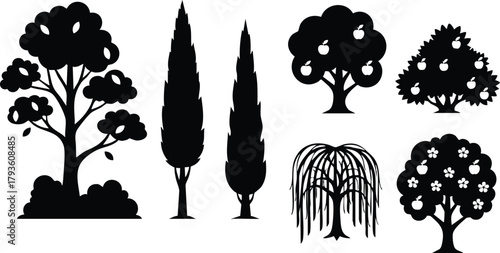 Silhouette Collection of Various Tree Shapes and Leafy Plant Vectors in Black Design Elements for Nature Scenes 