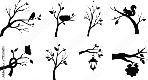 Silhouettes of birds squirrels and branches nature wildlife vector illustration in black and white 